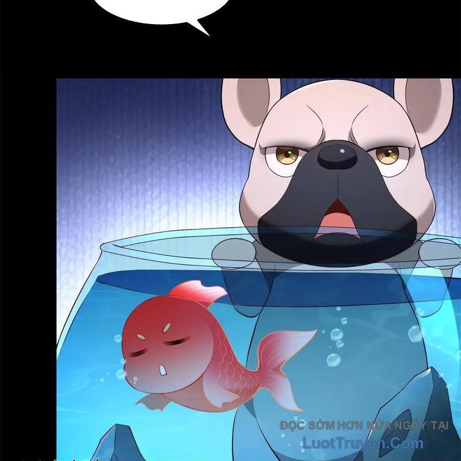 Cửa Hàng Sủng Vật Thần Kỳ Chapter 18 - Trang 2