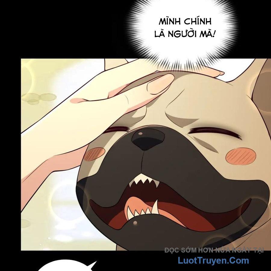 Cửa Hàng Sủng Vật Thần Kỳ Chapter 18 - Trang 2