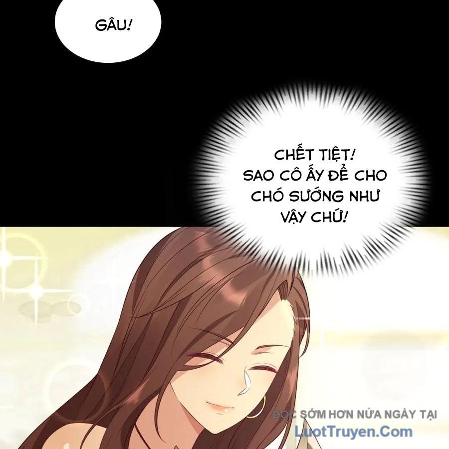 Cửa Hàng Sủng Vật Thần Kỳ Chapter 18 - Trang 2