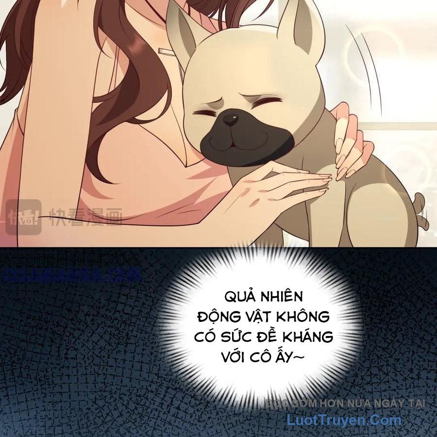 Cửa Hàng Sủng Vật Thần Kỳ Chapter 18 - Trang 2