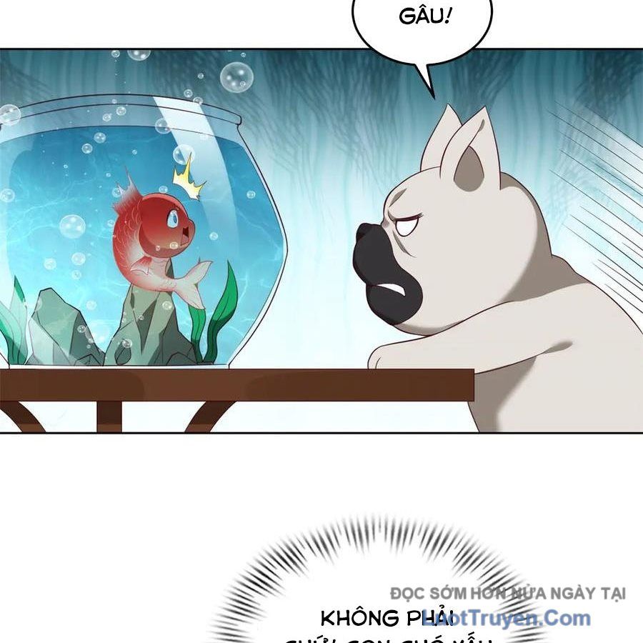 Cửa Hàng Sủng Vật Thần Kỳ Chapter 18 - Trang 2