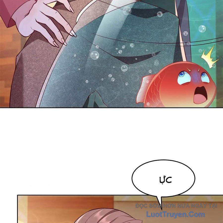 Cửa Hàng Sủng Vật Thần Kỳ Chapter 18 - Trang 2