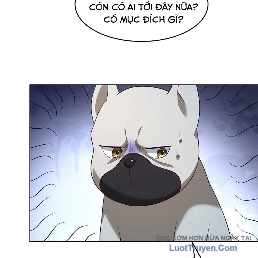 Cửa Hàng Sủng Vật Thần Kỳ Chapter 18 - Trang 2