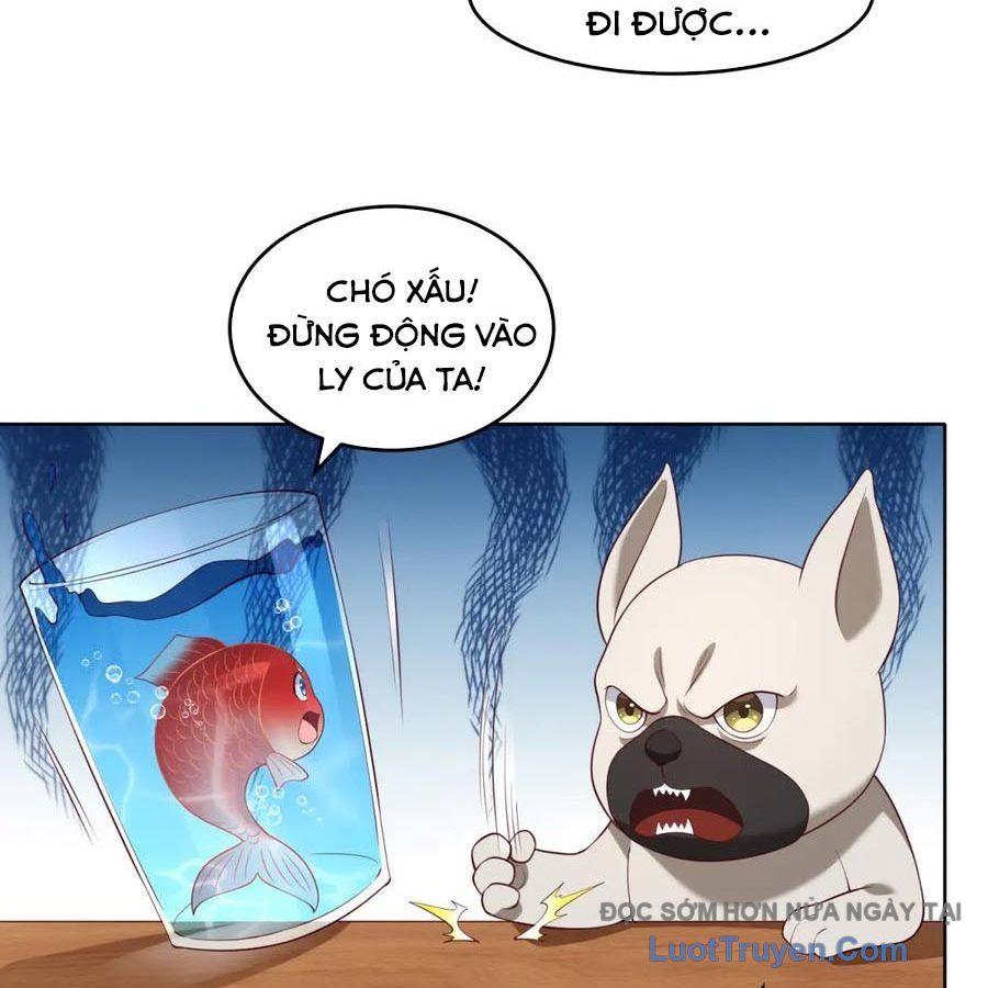Cửa Hàng Sủng Vật Thần Kỳ Chapter 18 - Trang 2
