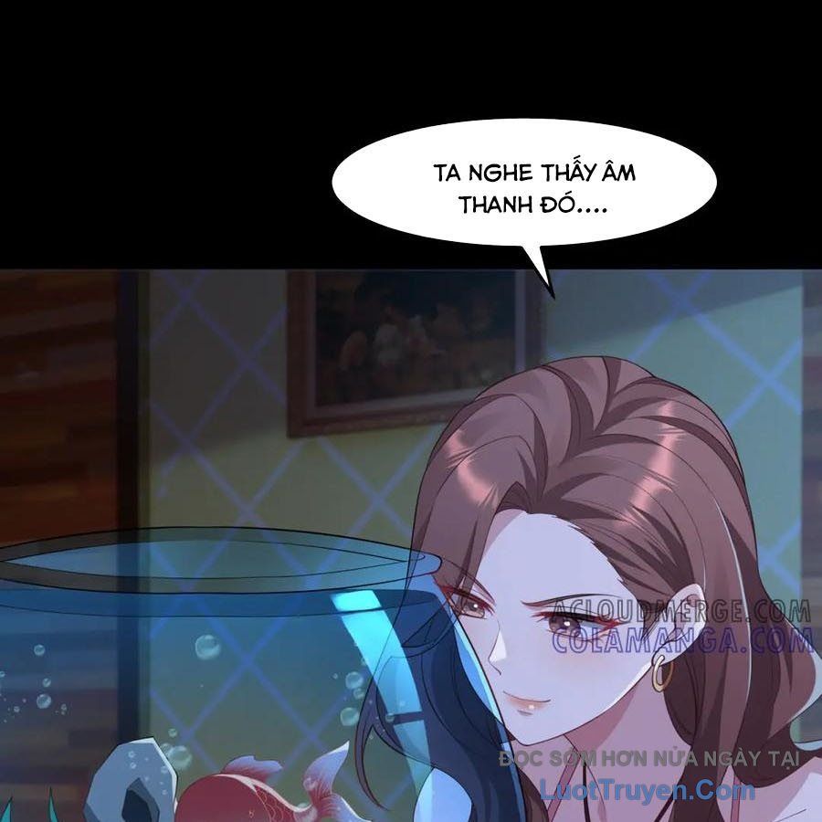 Cửa Hàng Sủng Vật Thần Kỳ Chapter 18 - Trang 2
