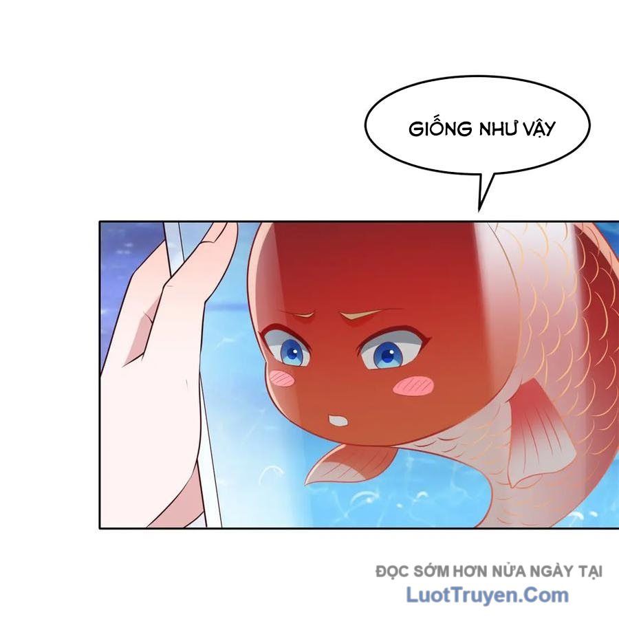 Cửa Hàng Sủng Vật Thần Kỳ Chapter 18 - Trang 2