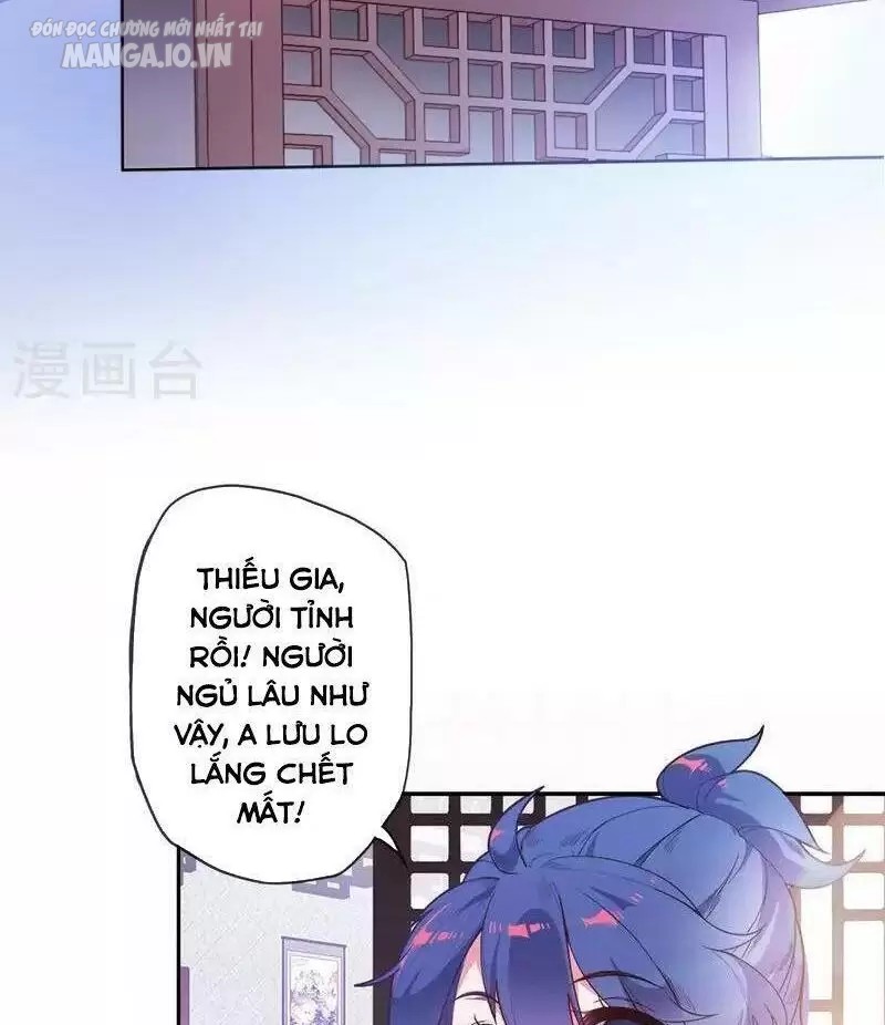 Cực Phẩm Bại Gia Tử Chapter 1 - Trang 2