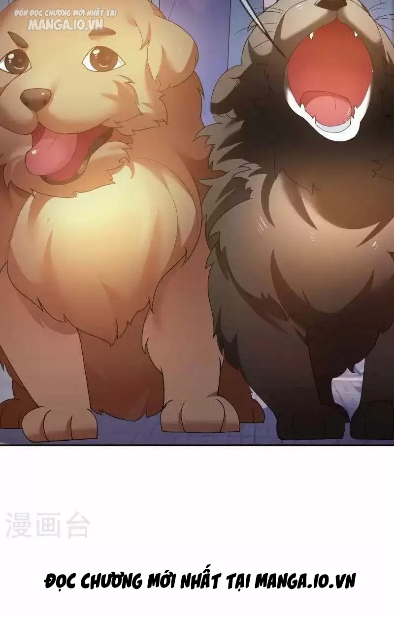 Cực Phẩm Bại Gia Tử Chapter 10 - Trang 2