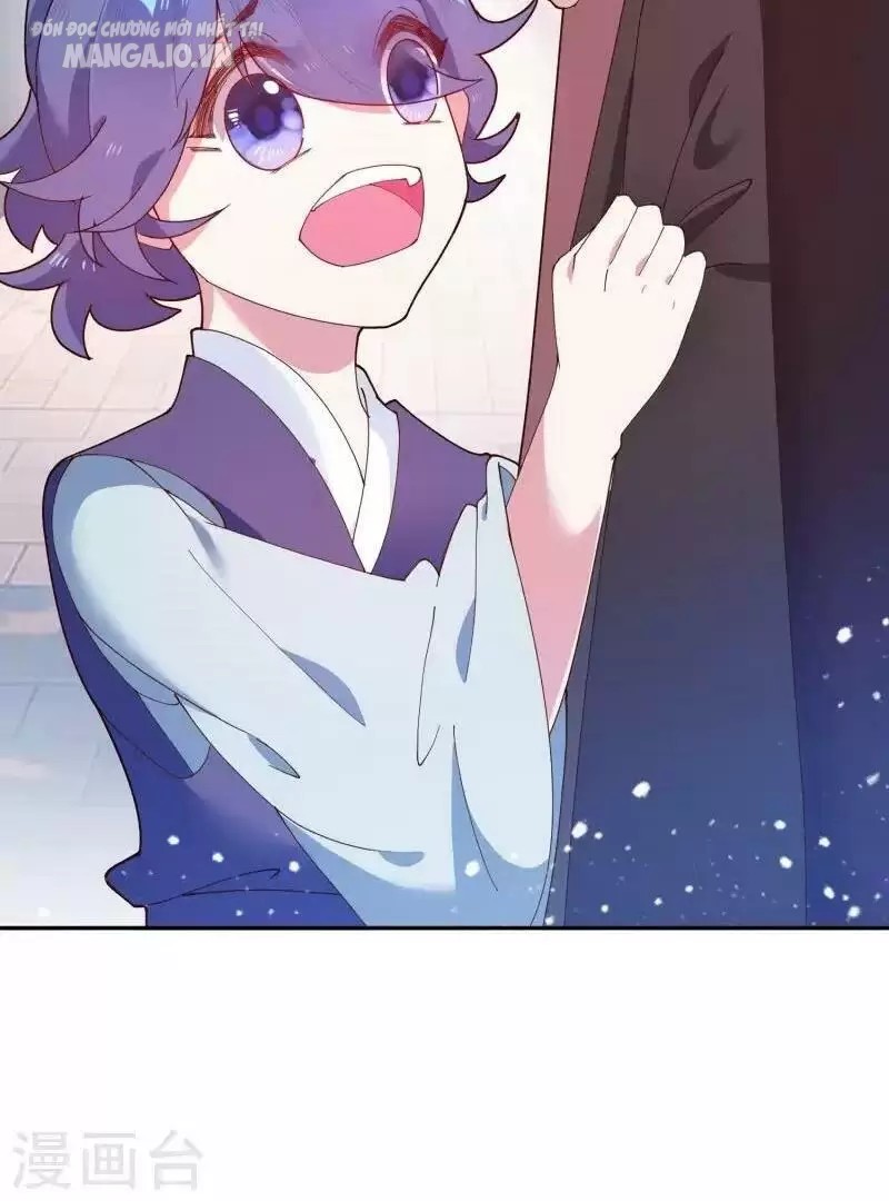 Cực Phẩm Bại Gia Tử Chapter 11 - Trang 2