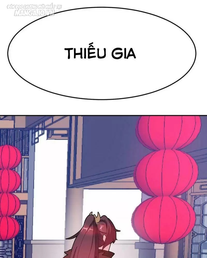 Cực Phẩm Bại Gia Tử Chapter 12 - Trang 2