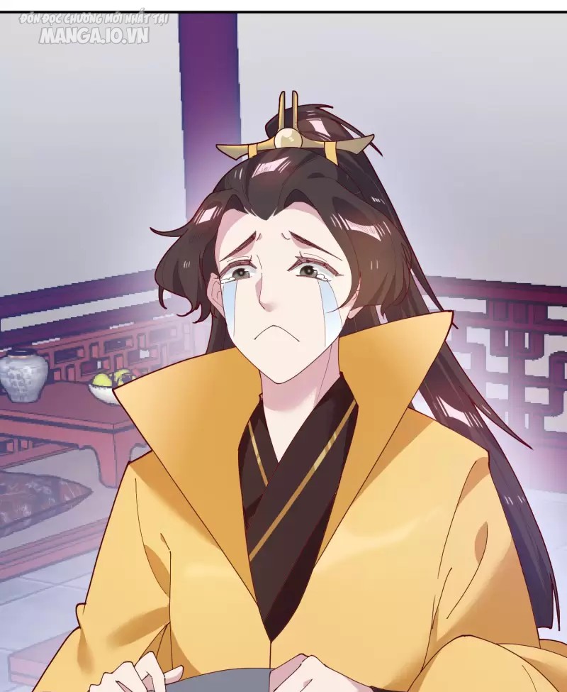 Cực Phẩm Bại Gia Tử Chapter 13 - Trang 2