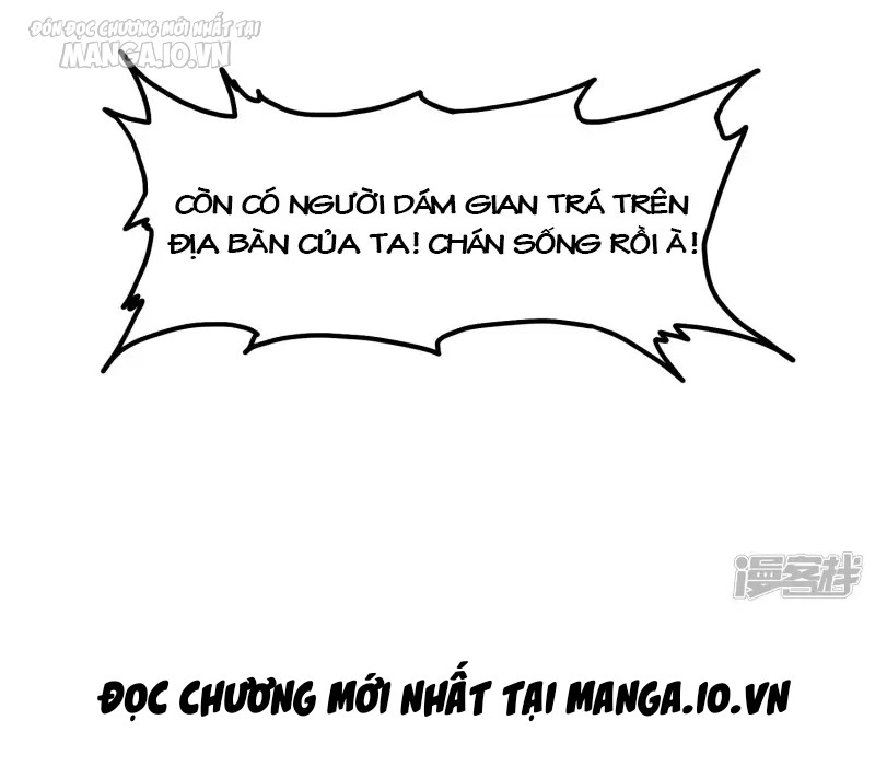 Cực Phẩm Bại Gia Tử Chapter 14 - Trang 2