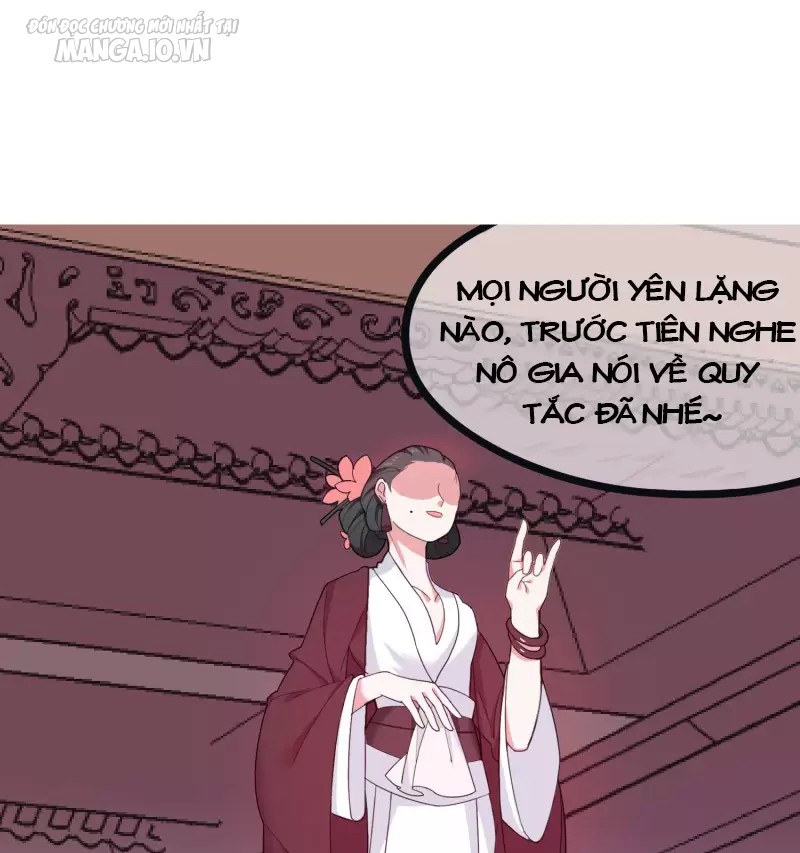 Cực Phẩm Bại Gia Tử Chapter 14 - Trang 2