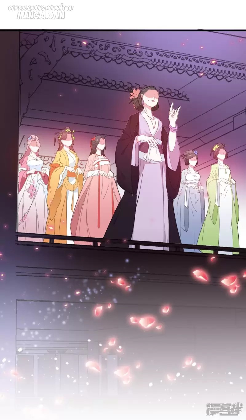 Cực Phẩm Bại Gia Tử Chapter 14 - Trang 2