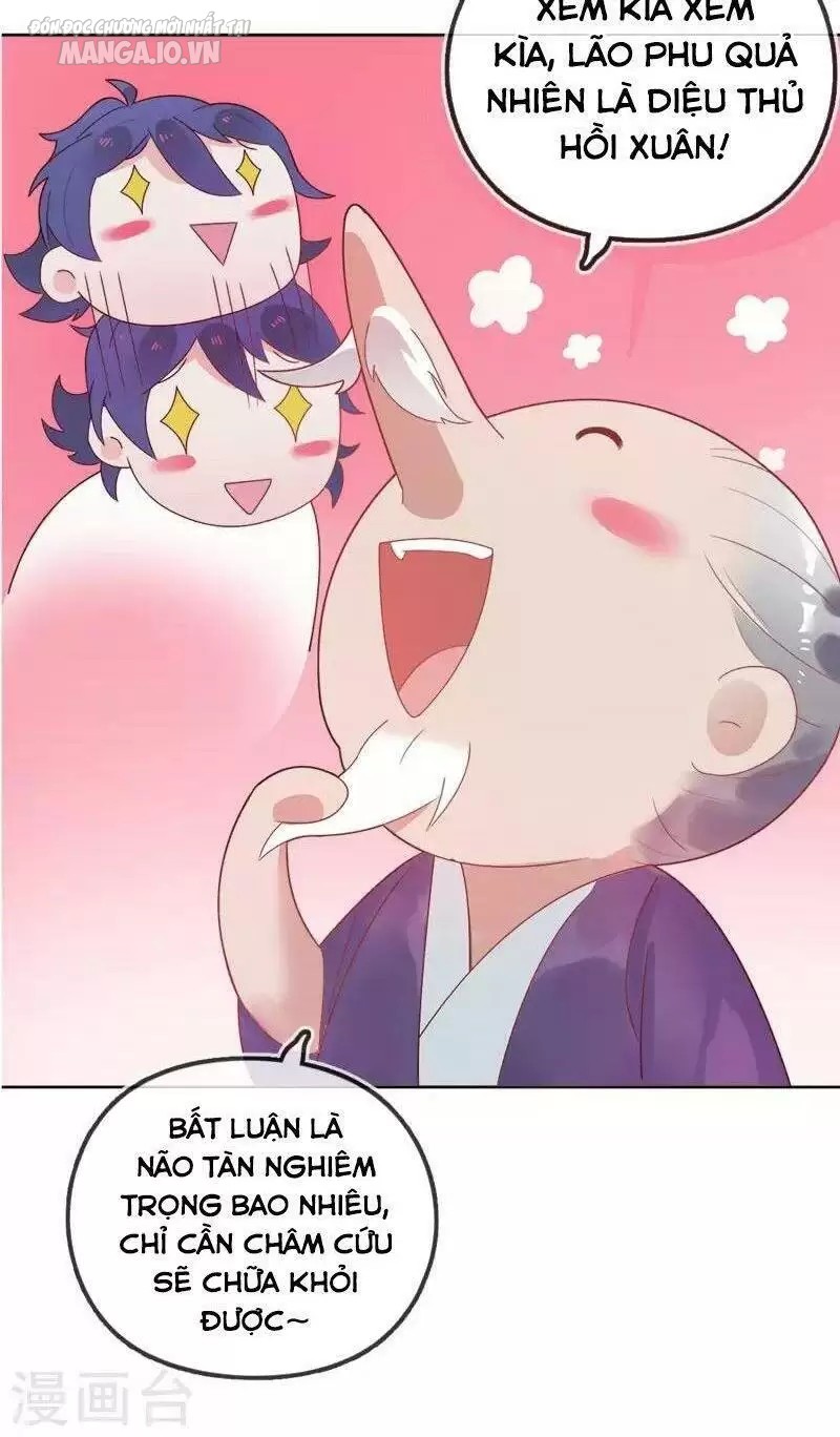 Cực Phẩm Bại Gia Tử Chapter 2 - Trang 2