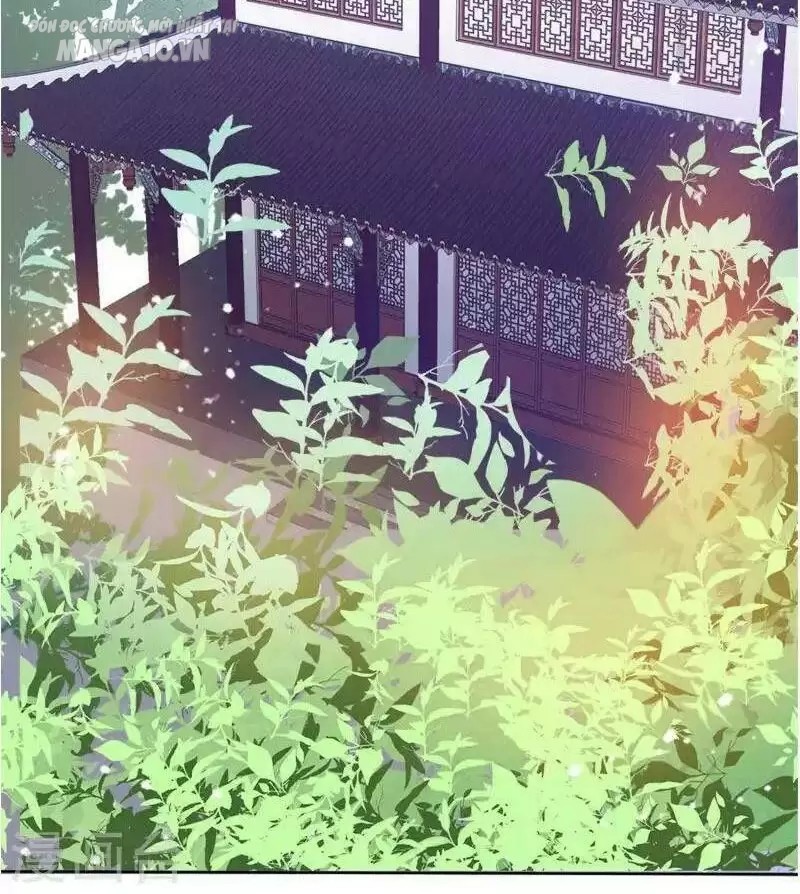 Cực Phẩm Bại Gia Tử Chapter 2 - Trang 2