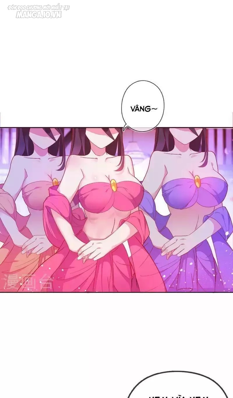 Cực Phẩm Bại Gia Tử Chapter 2 - Trang 2