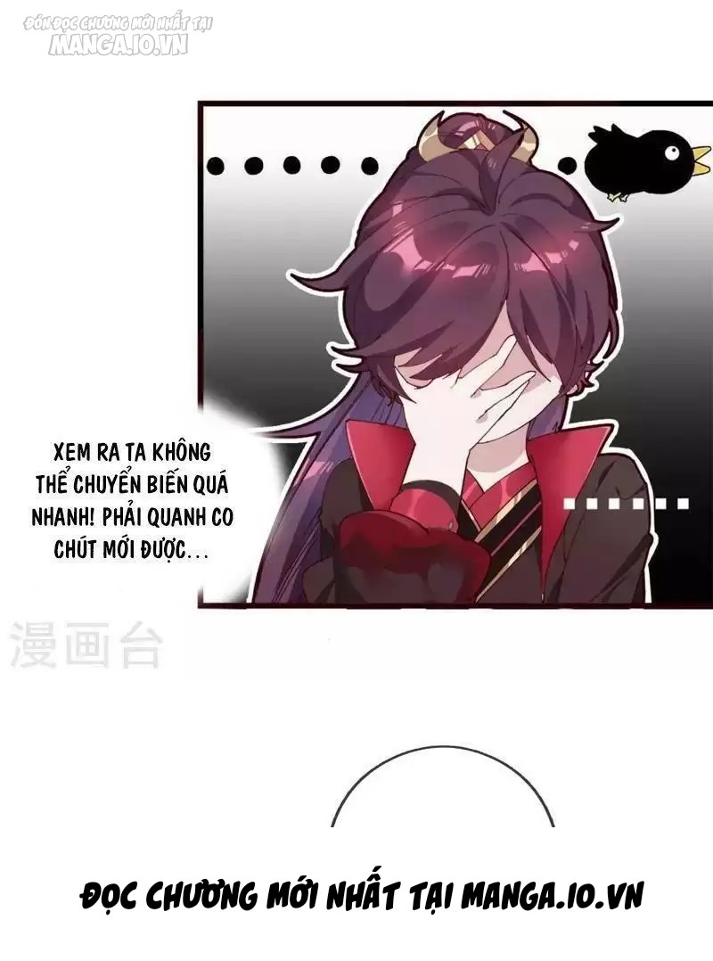 Cực Phẩm Bại Gia Tử Chapter 3 - Trang 2