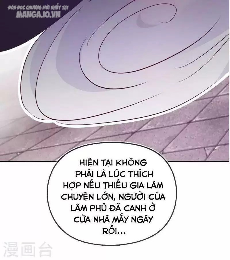 Cực Phẩm Bại Gia Tử Chapter 3 - Trang 2