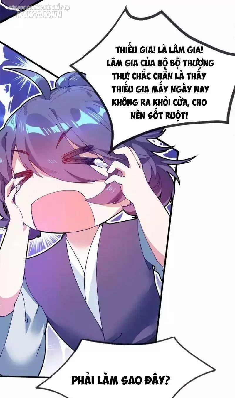 Cực Phẩm Bại Gia Tử Chapter 3 - Trang 2