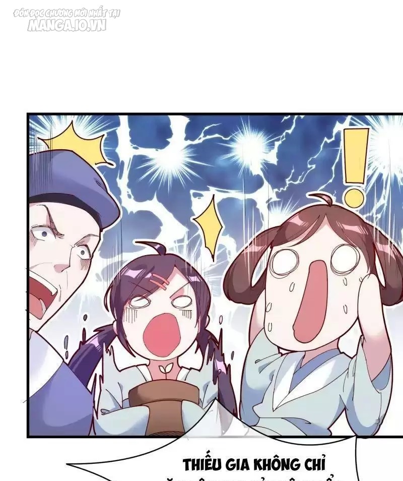 Cực Phẩm Bại Gia Tử Chapter 4 - Trang 2