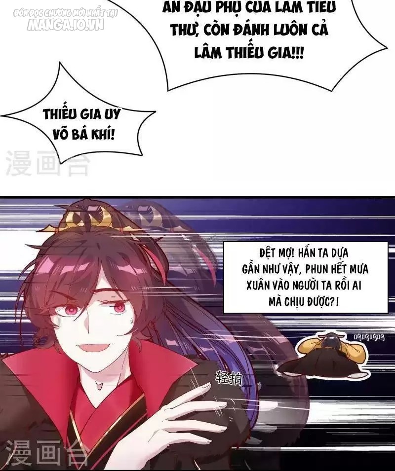 Cực Phẩm Bại Gia Tử Chapter 4 - Trang 2