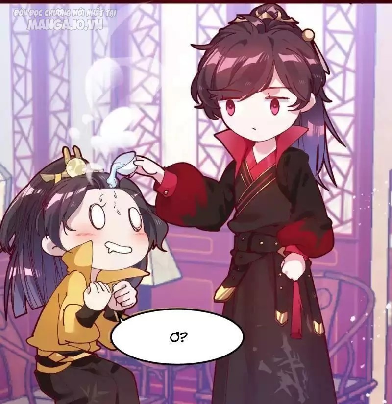 Cực Phẩm Bại Gia Tử Chapter 4 - Trang 2