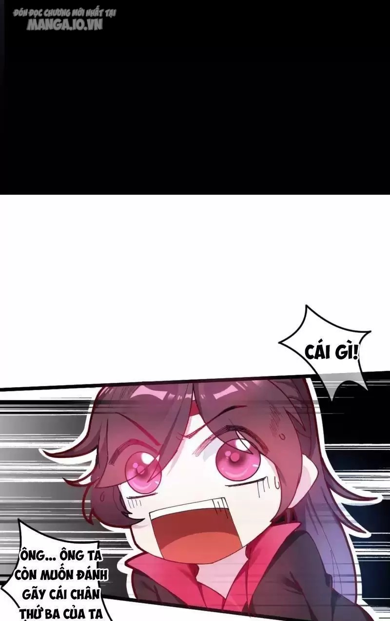 Cực Phẩm Bại Gia Tử Chapter 6 - Trang 2