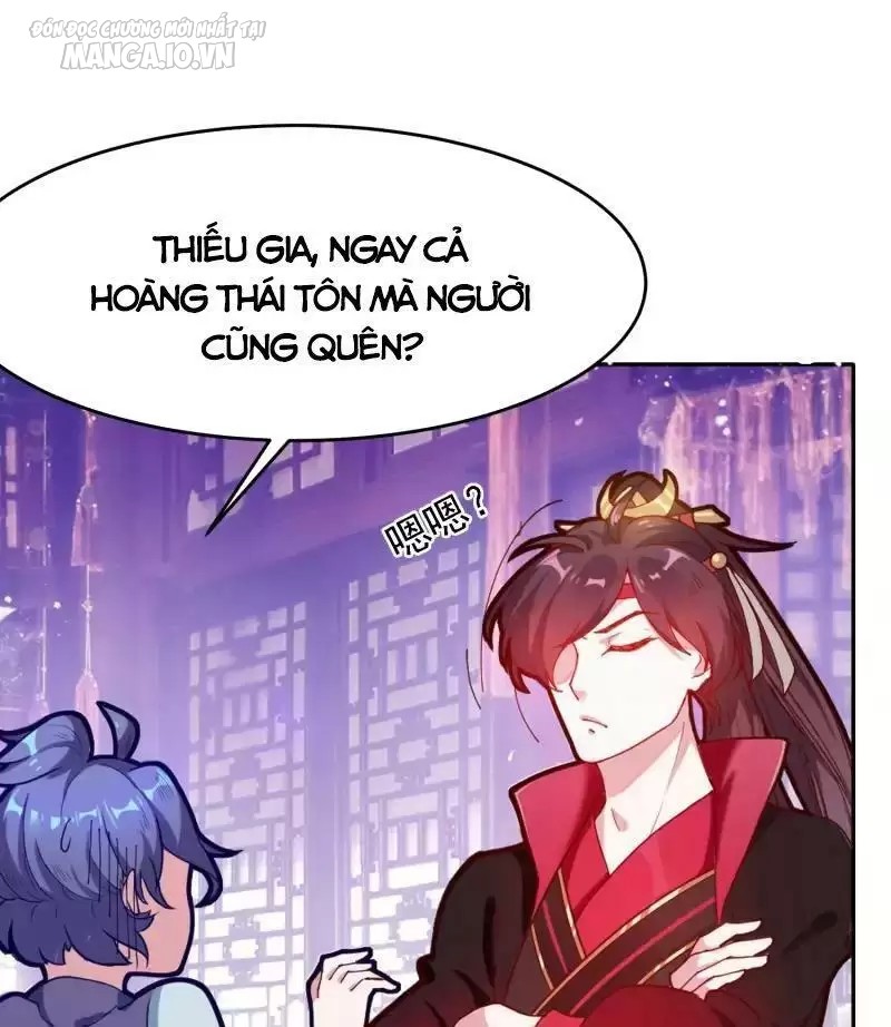 Cực Phẩm Bại Gia Tử Chapter 7 - Trang 2