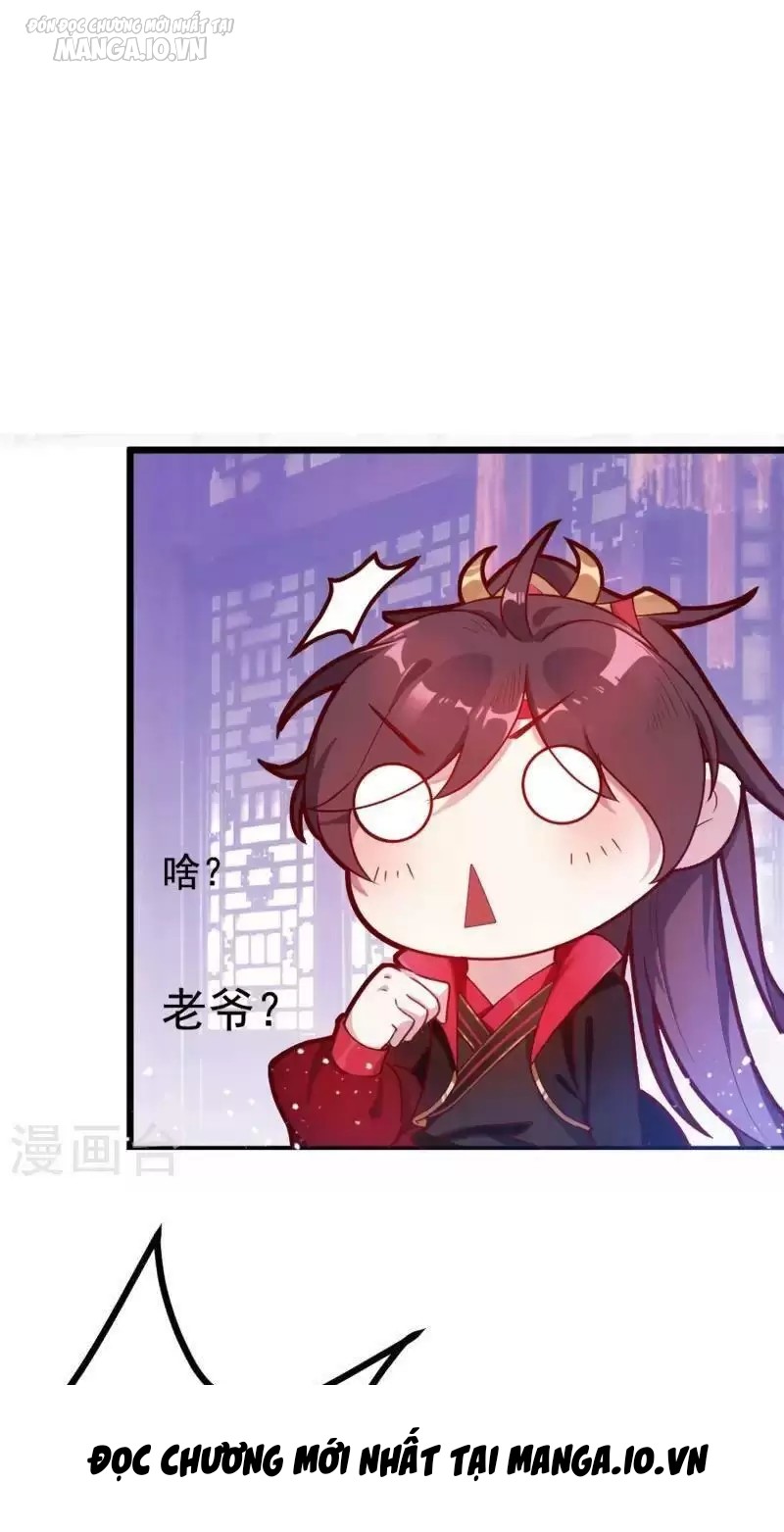 Cực Phẩm Bại Gia Tử Chapter 7 - Trang 2