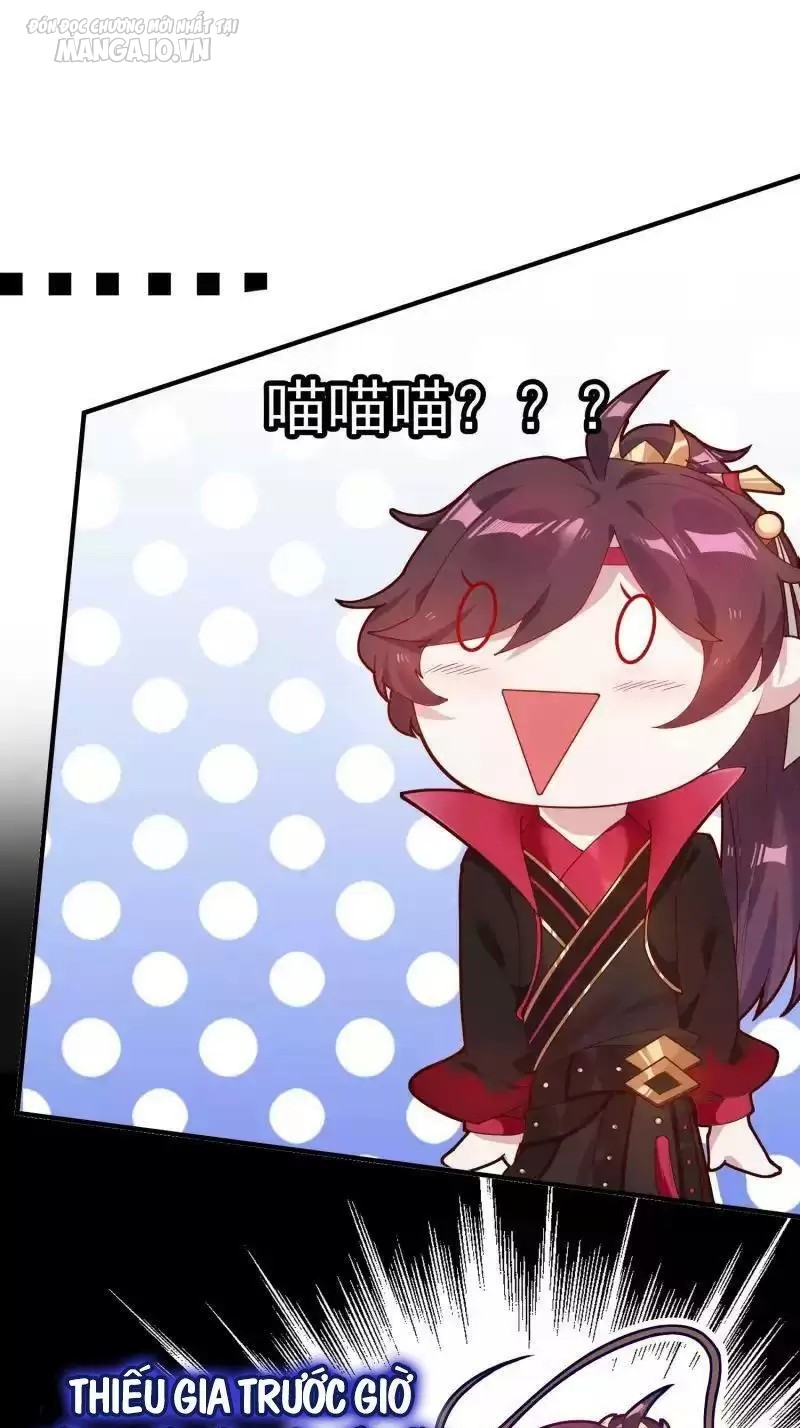 Cực Phẩm Bại Gia Tử Chapter 8 - Trang 2