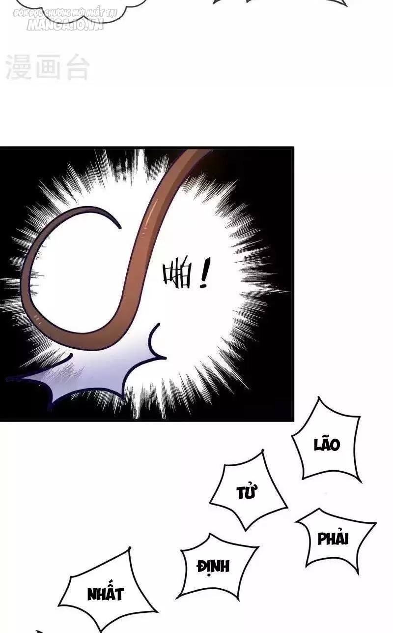 Cực Phẩm Bại Gia Tử Chapter 8 - Trang 2