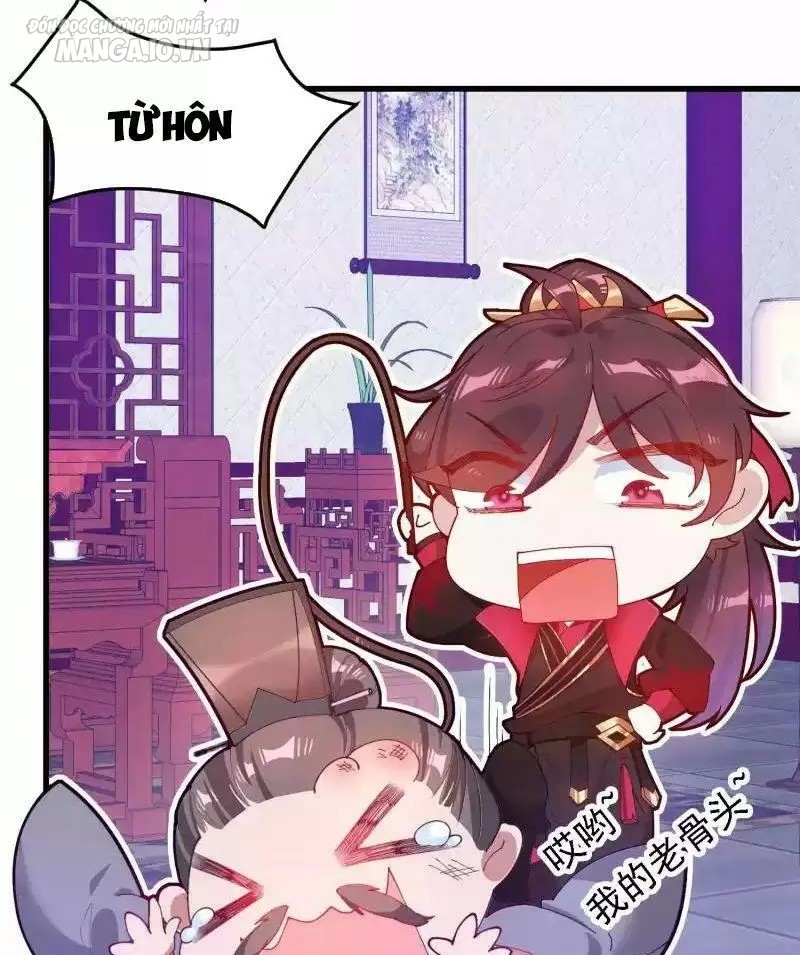 Cực Phẩm Bại Gia Tử Chapter 8 - Trang 2