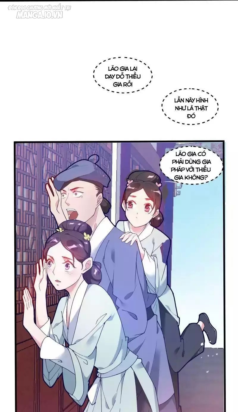 Cực Phẩm Bại Gia Tử Chapter 8 - Trang 2