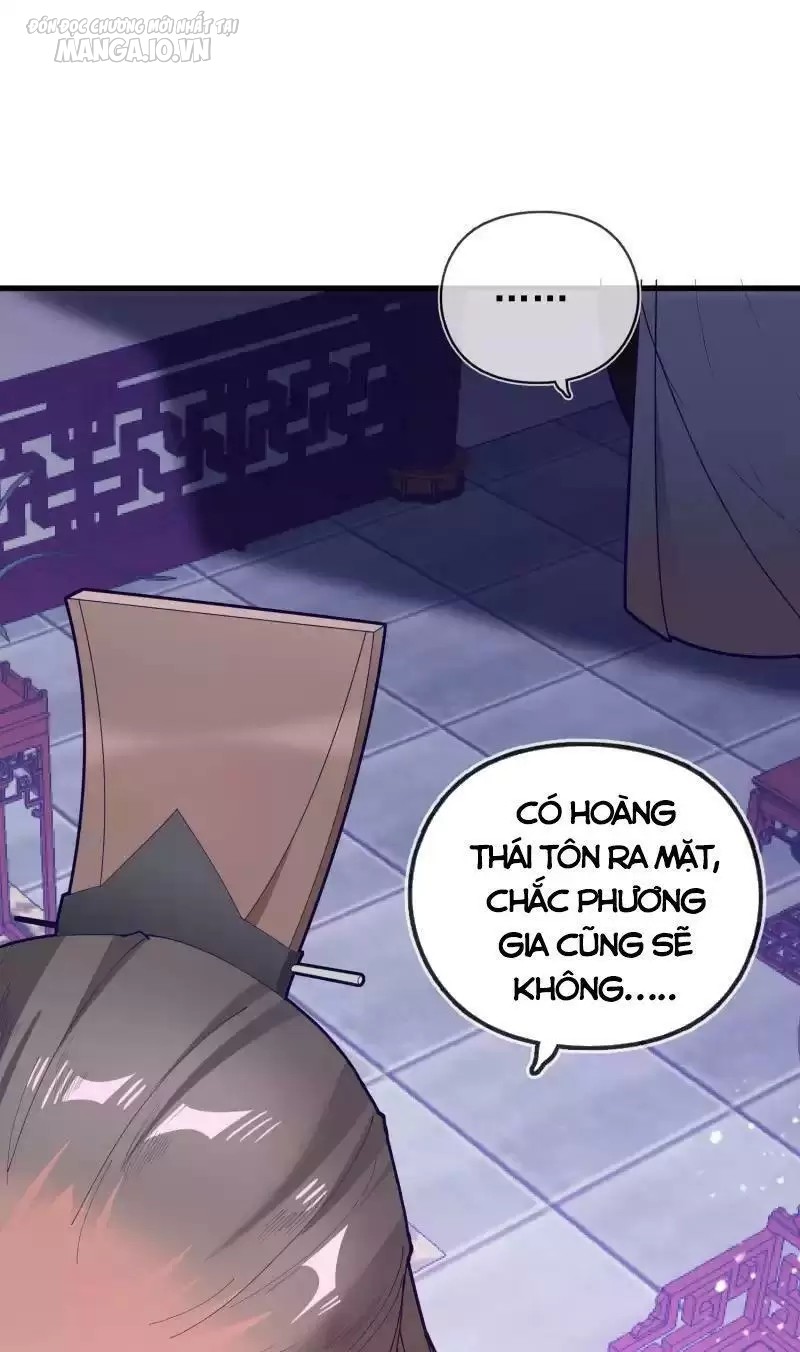 Cực Phẩm Bại Gia Tử Chapter 8 - Trang 2