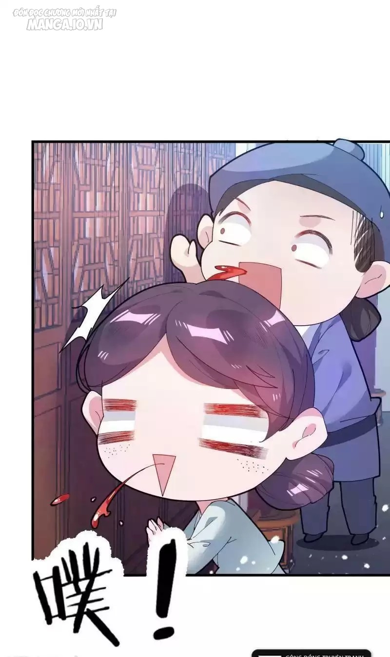 Cực Phẩm Bại Gia Tử Chapter 8 - Trang 2