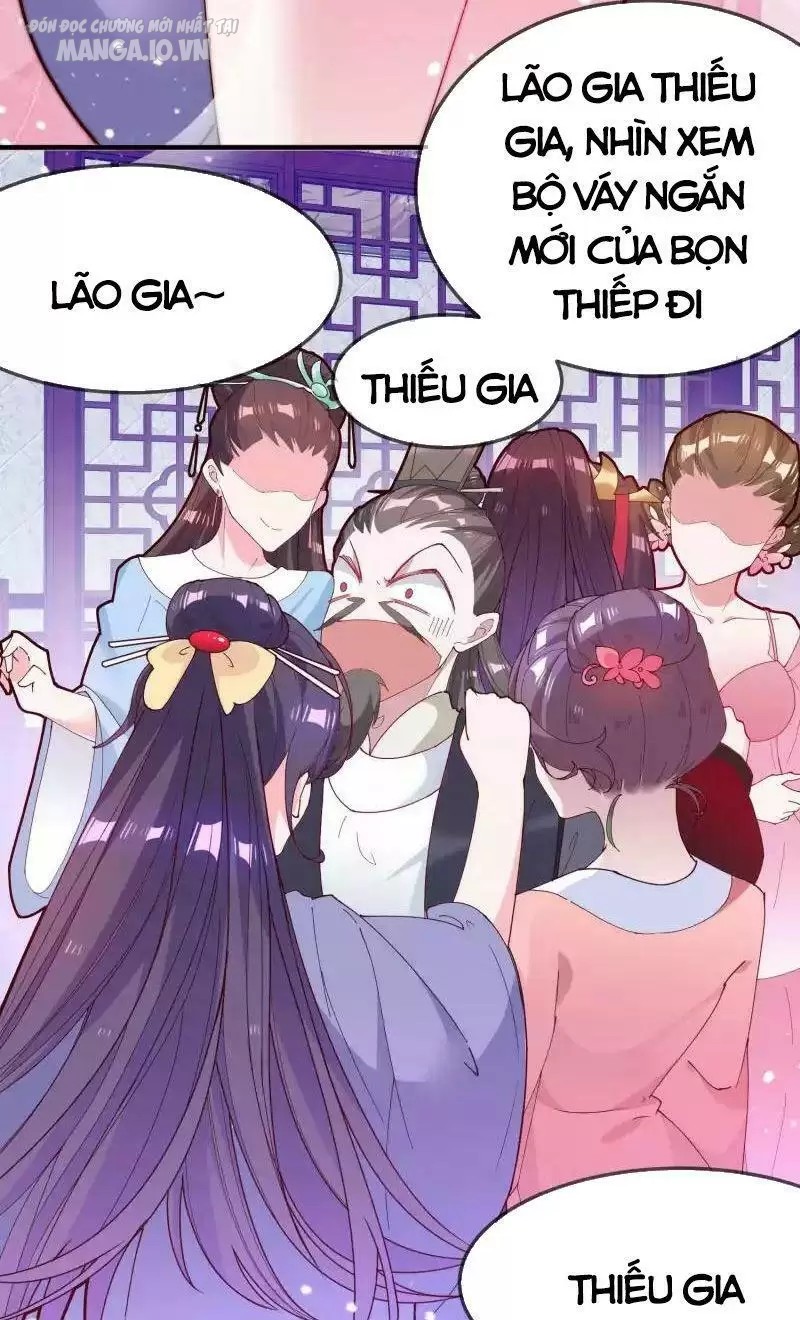 Cực Phẩm Bại Gia Tử Chapter 9 - Trang 2