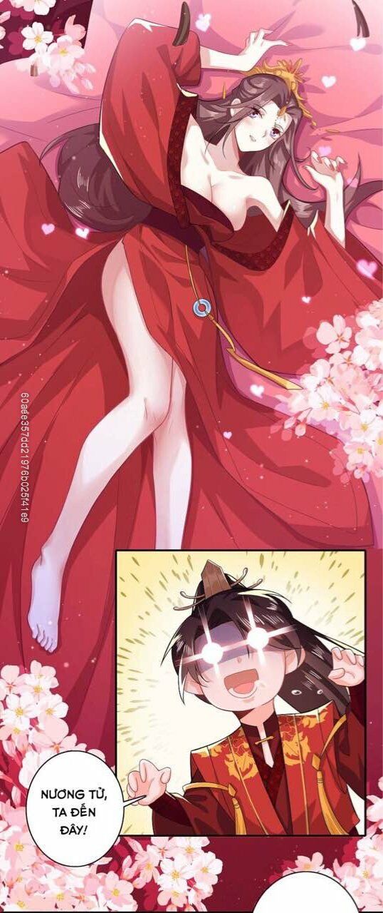 Cực Phẩm Cuồng Tể Chapter 14 - Trang 2