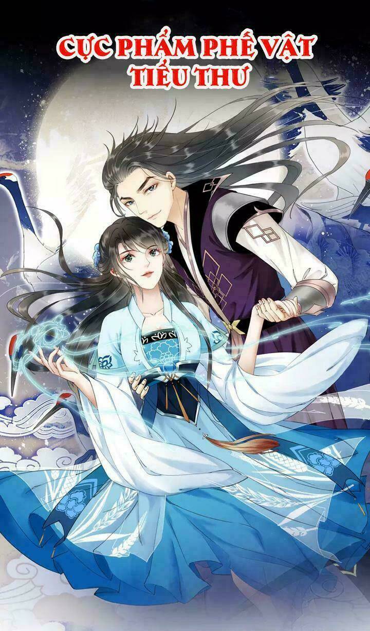 Cực Phẩm Phế Vật Tiểu Thư Chapter 1 - Trang 2