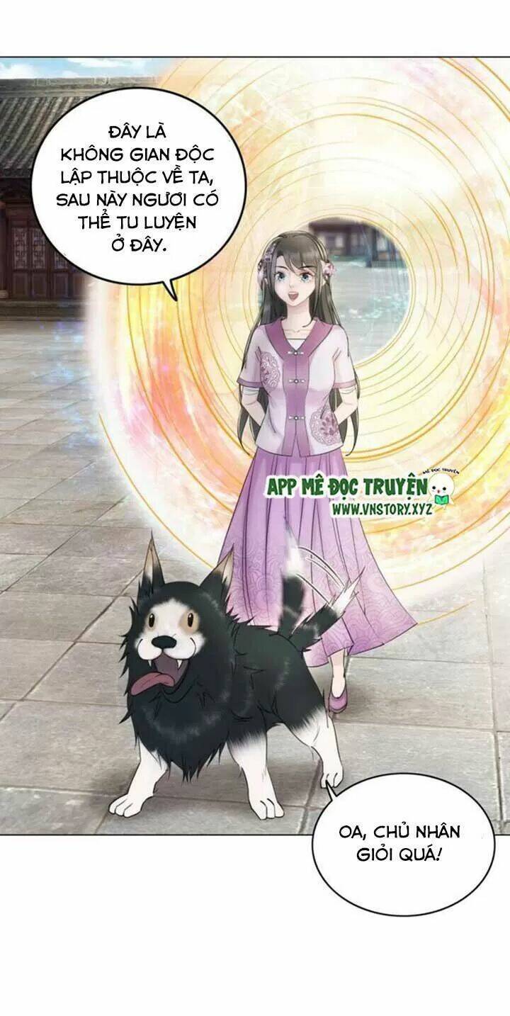 Cực Phẩm Phế Vật Tiểu Thư Chapter 40 - Trang 2