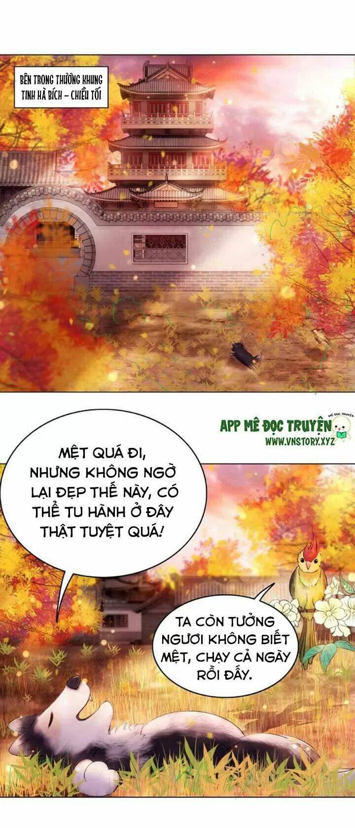 Cực Phẩm Phế Vật Tiểu Thư Chapter 42 - Trang 2