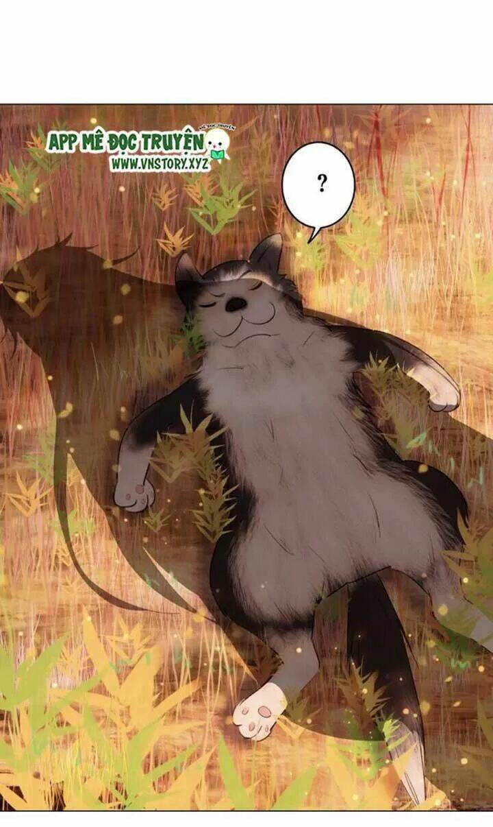 Cực Phẩm Phế Vật Tiểu Thư Chapter 42 - Trang 2