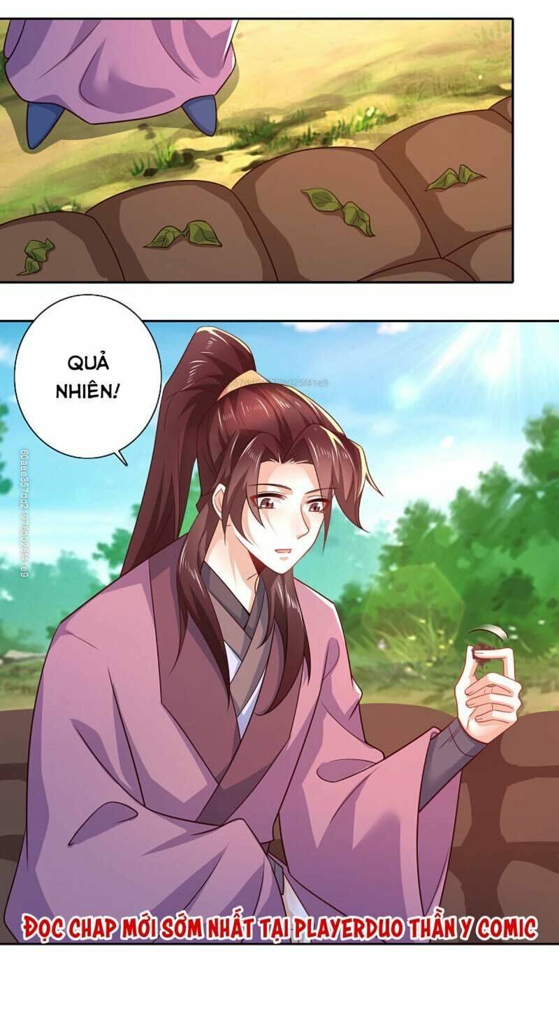Cực Phẩm Tiên Đế Chapter 47 - Trang 2