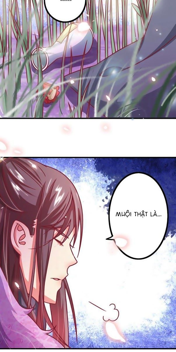 Cưng Chiều Đào Phi Chapter 11 - Trang 2