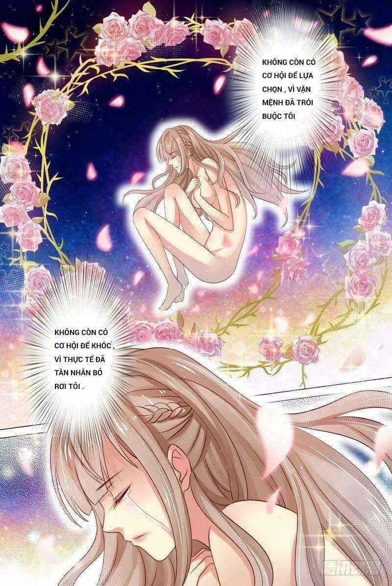 Cưng Chiều Vợ Yêu Chapter 1 - Trang 2