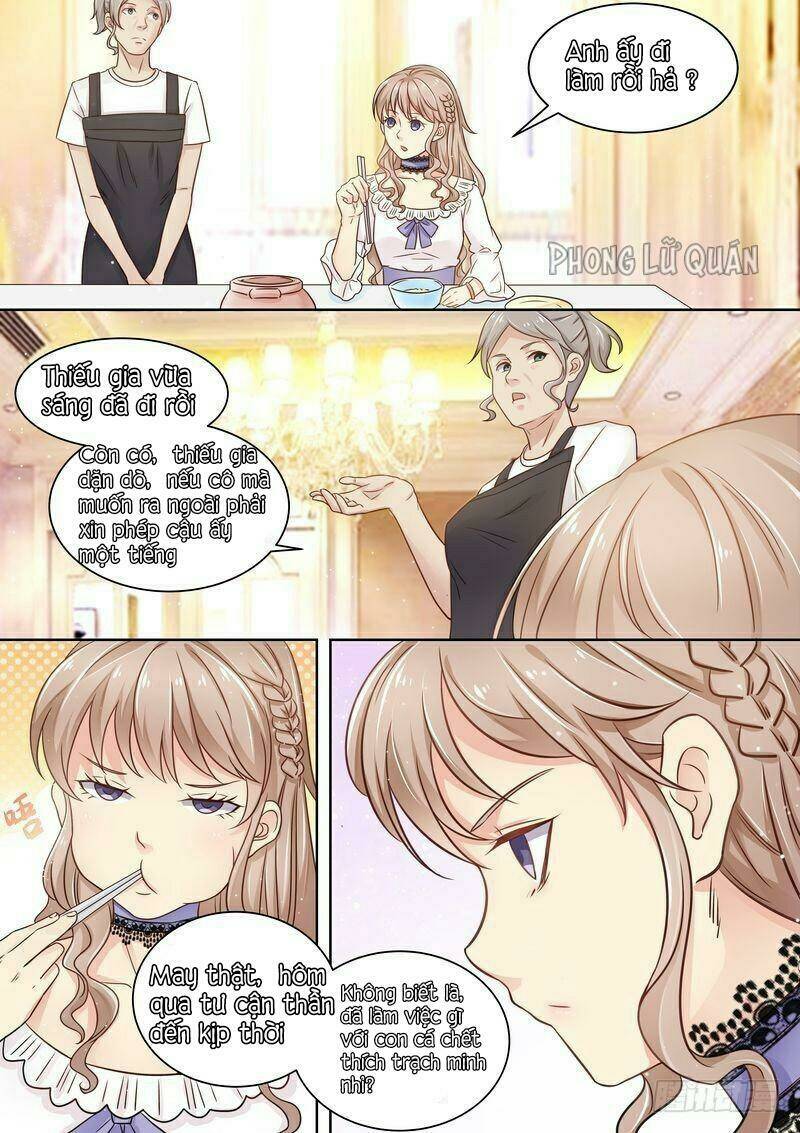 Cưng Chiều Vợ Yêu Chapter 11 - Trang 2