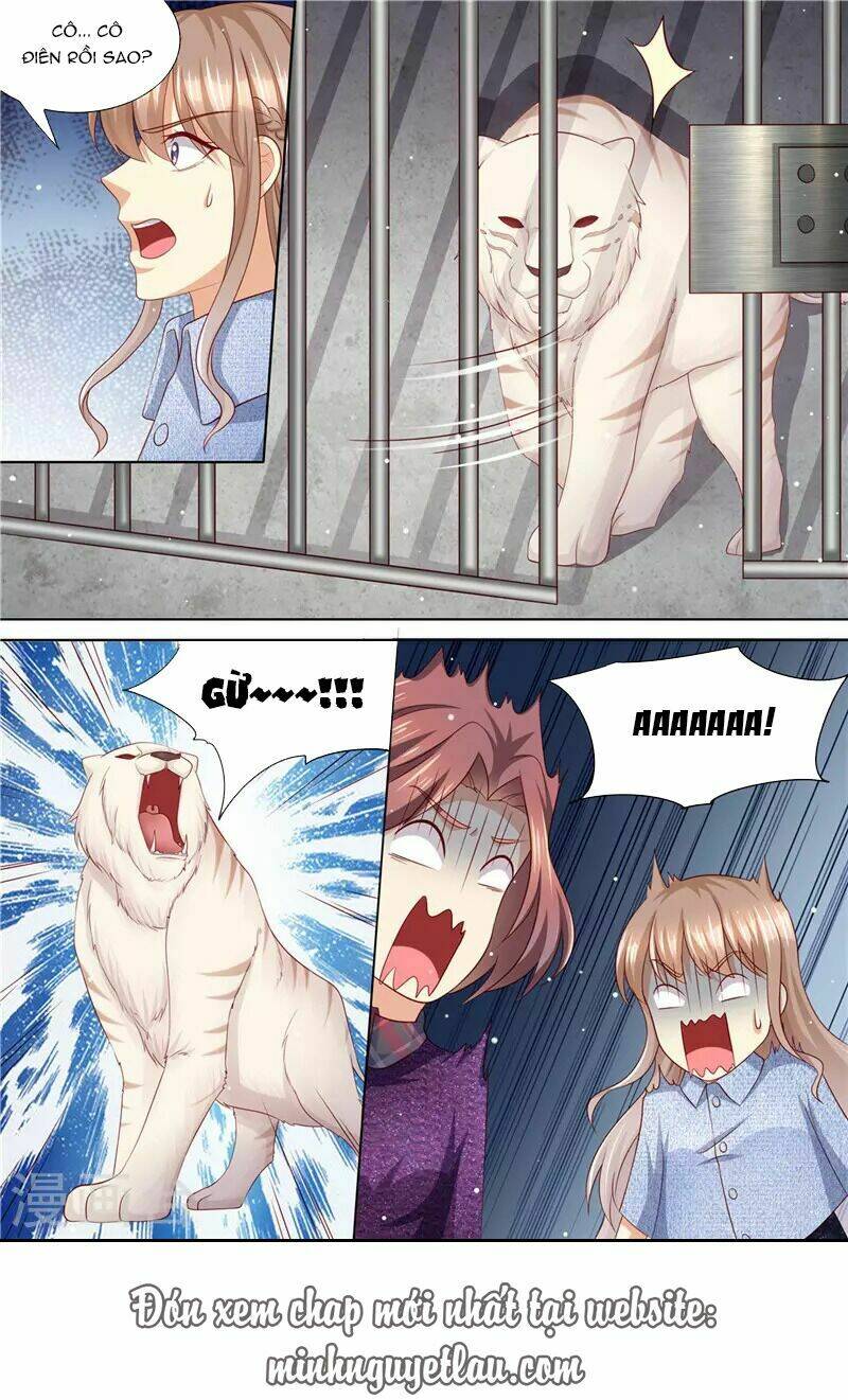 Cưng Chiều Vợ Yêu Chapter 196 - Trang 2