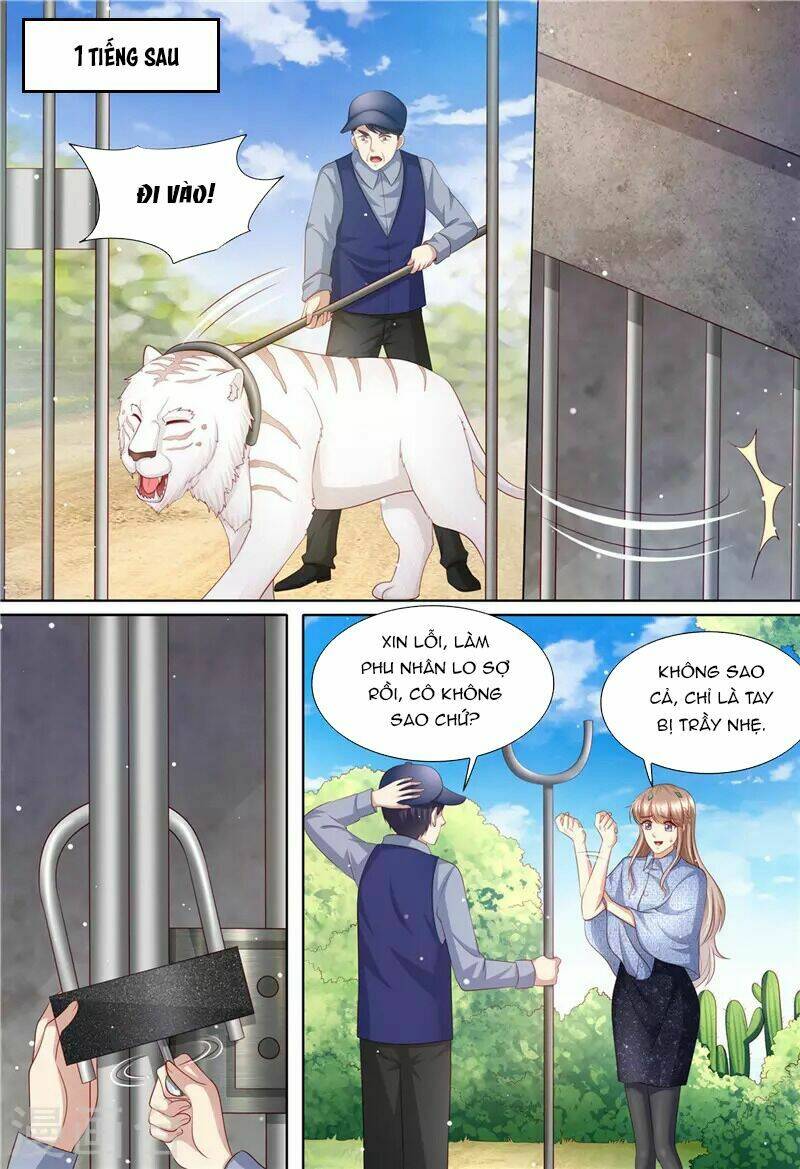 Cưng Chiều Vợ Yêu Chapter 197 - Trang 2