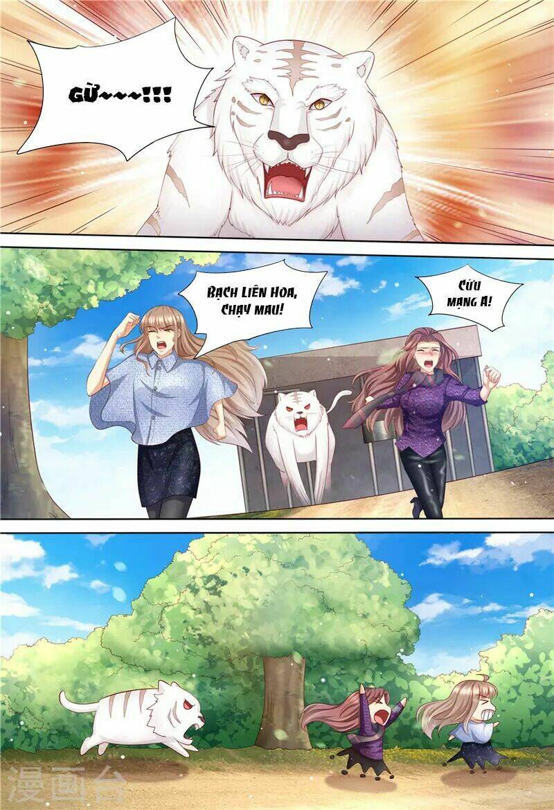 Cưng Chiều Vợ Yêu Chapter 197 - Trang 2