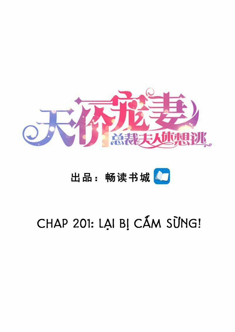 Cưng Chiều Vợ Yêu Chapter 201 - Trang 2
